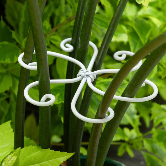 5PCS Monstera Plant Support Hook White 4.1 * 4.1 Inch – Set of 5 Durable Metal Stem Stabilizer Clips & Soft Grip Leaf Holders for Healthy Growth of Monstera & Fishbone Cactus