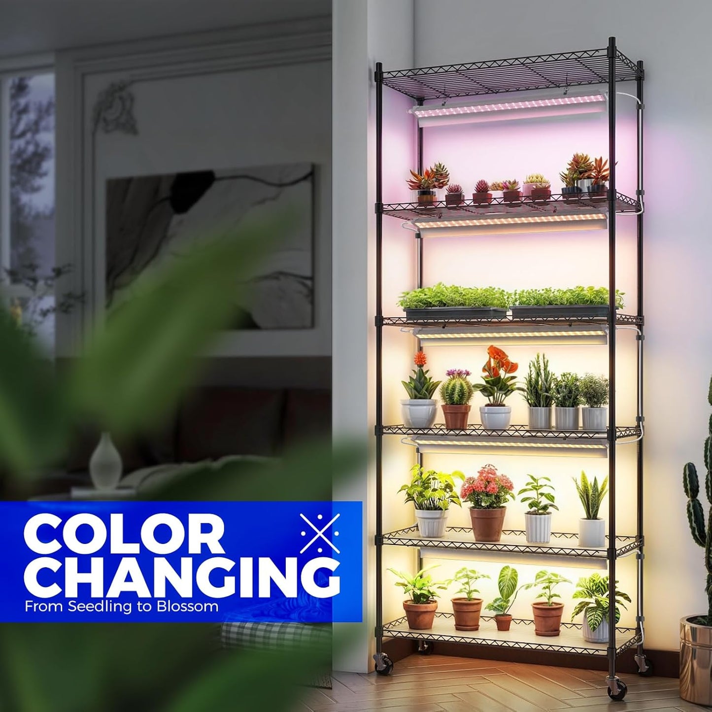 Barrina CX2 Plant Stand with Grow Lights for Indoor Plants, 6-Tier Metal Plant Shelf Display Rack with 2FT 30W Per Full Spectrum Plant Light, 3 Adjustable Spectrum, Timer, for Growing, 29.5x13.8x71IN