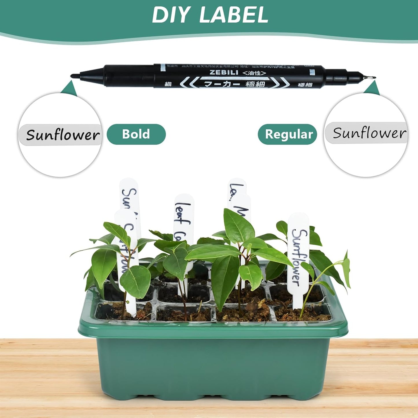 Artcome 10-Pack Seed Starter Tray, 12 Cells Each with Push-Up Ejector - Seed Starter Kit for Rapid Growth and Healthy Seedlings at Home - 120 Cells in Total