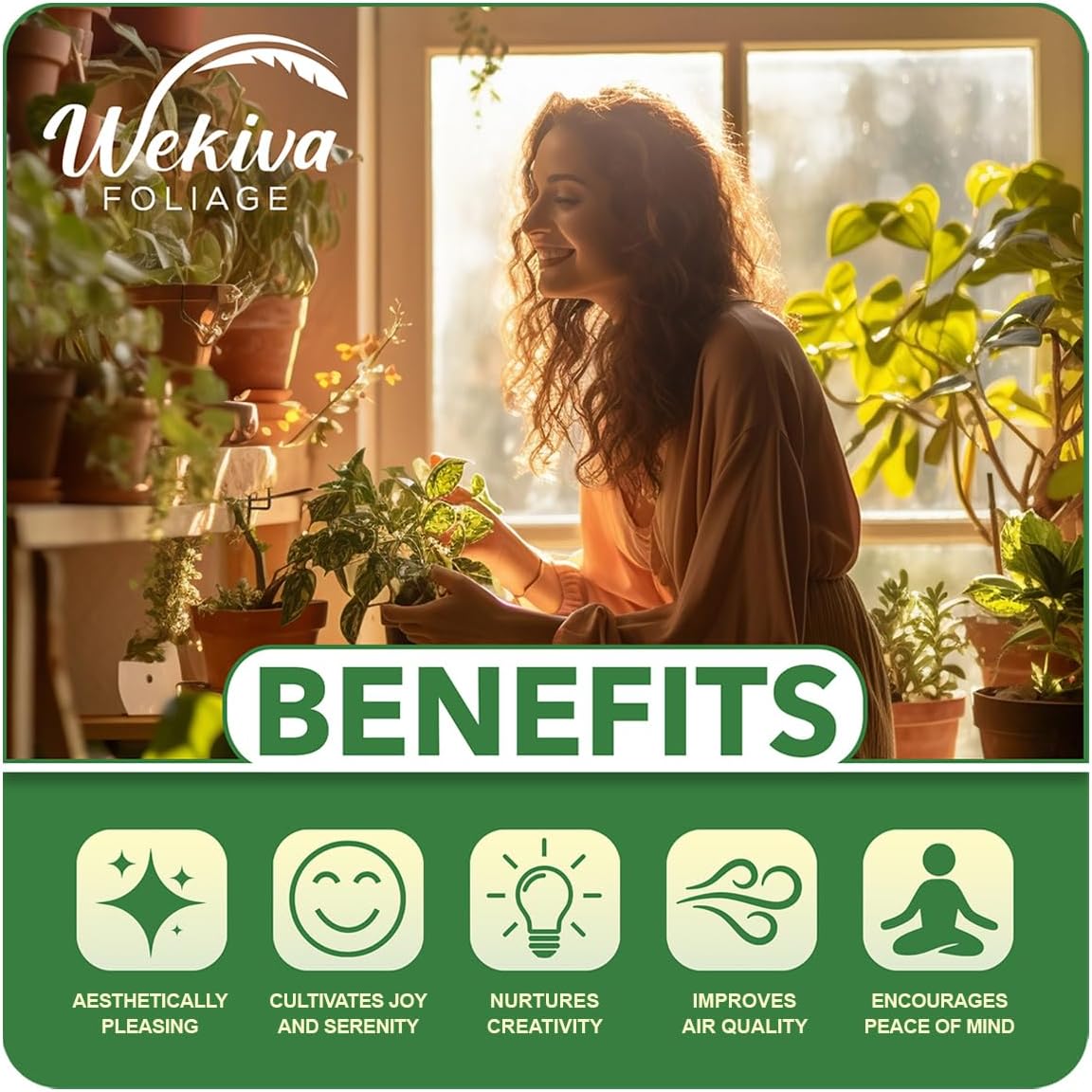 LSU Gold Fig Tree - 4 Live Starter Plants - Ficus Carica - Edible Fruit Tree for The Patio and Garden