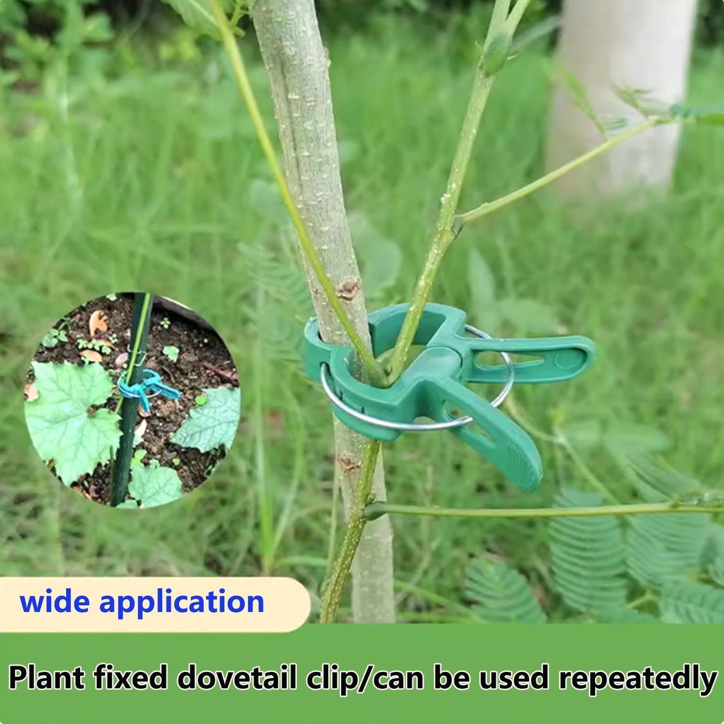 60 Garden Plant Clamps,Plant Support Clamps Hold Plant Stems,for Multi-Purpose Plants Rattan Clamps Rose,Sturdy Cucumber Orchid Clamps Plant Support Adjustable Clamps Green (Small 60Pcs)