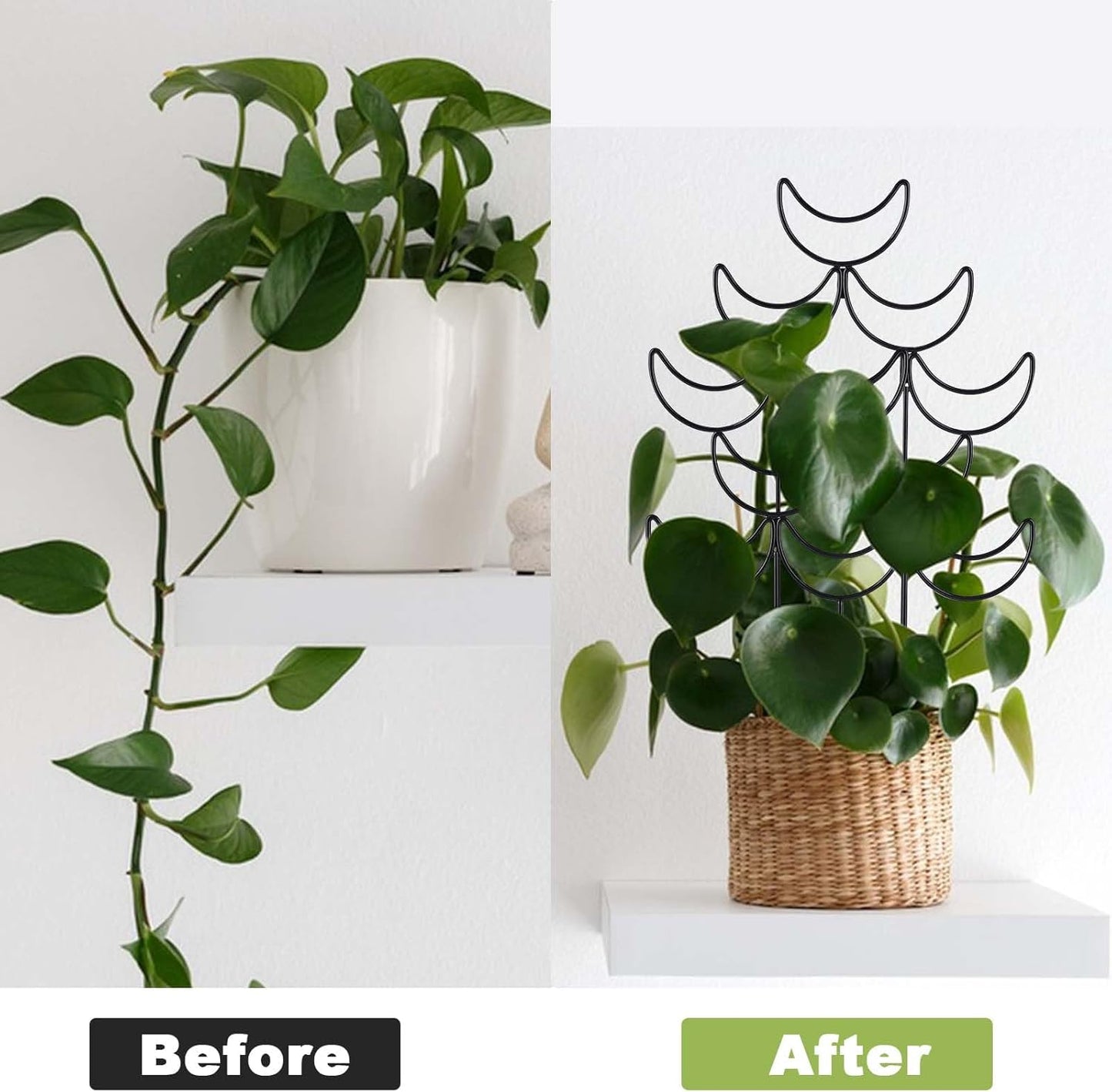 4 Pack Metal Plant Trellis for Climbing Plants Outdoor/Indoor - Sturdy Garden Trellis for Potted Plants, Rustproof Plant Suppor Stakes for Vine Ivy Pothos Monstera Hoya Flowers