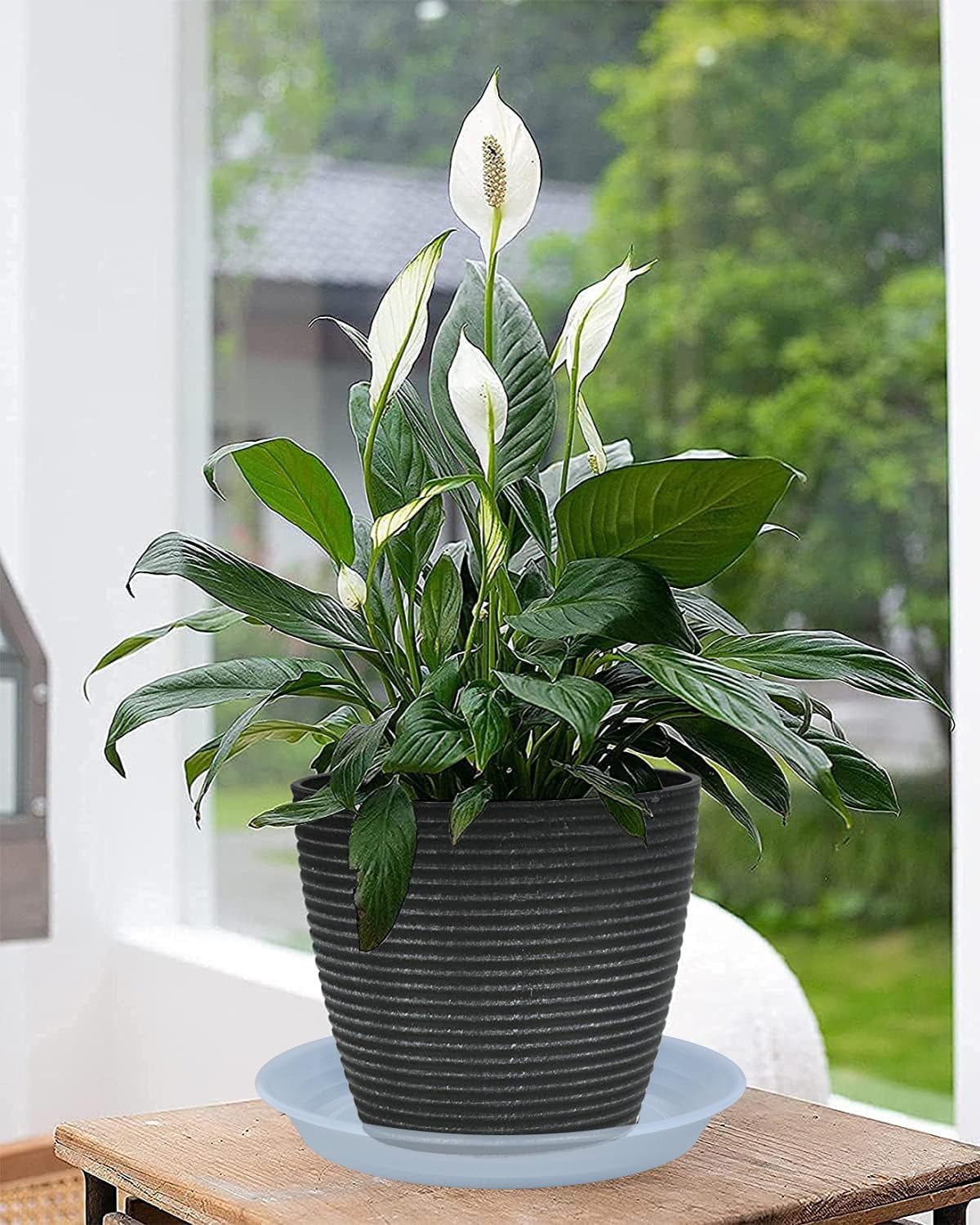 6 Pack Plant Saucer Drip Tray 9 10 inch, Clear Plant Dishes Saucer Plastic Flower Planter Saucers and Drip Trays for Indoors Outdoors, Heavy Durable Plant Plate Water Catcher (10", Clear)