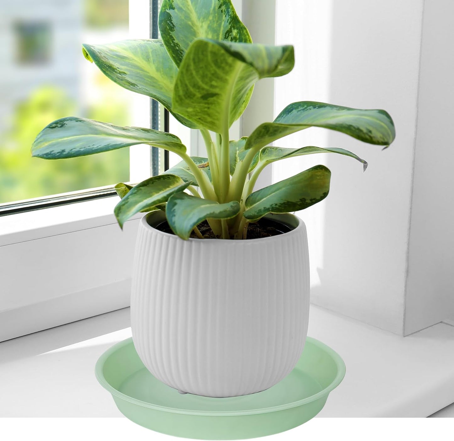 6 Pack of 6 inch Plant Saucer Drainage Tray, 4 5 7 8 10 12 13 15 17 19 inch Plastic Plant Water Tray, Flower Saucers for Indoors, Plant Dishes for Pots Base (6 inch, Light Green)