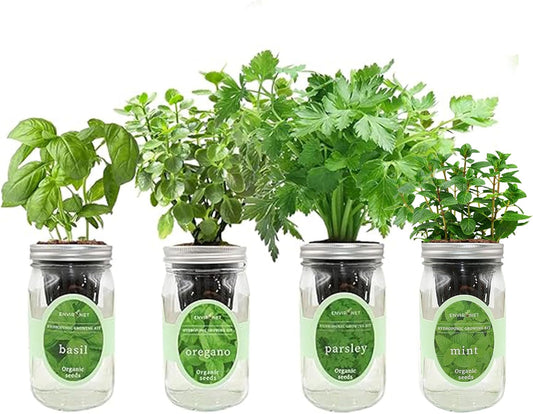 Hydroponic Herb Growing Kit Set, Self-Watering Mason Jar Herb Garden Starter Kit Indoor, Grow 4 Kinds of Herbs from Seeds (Basil, Mint, Parsley & Oregano)