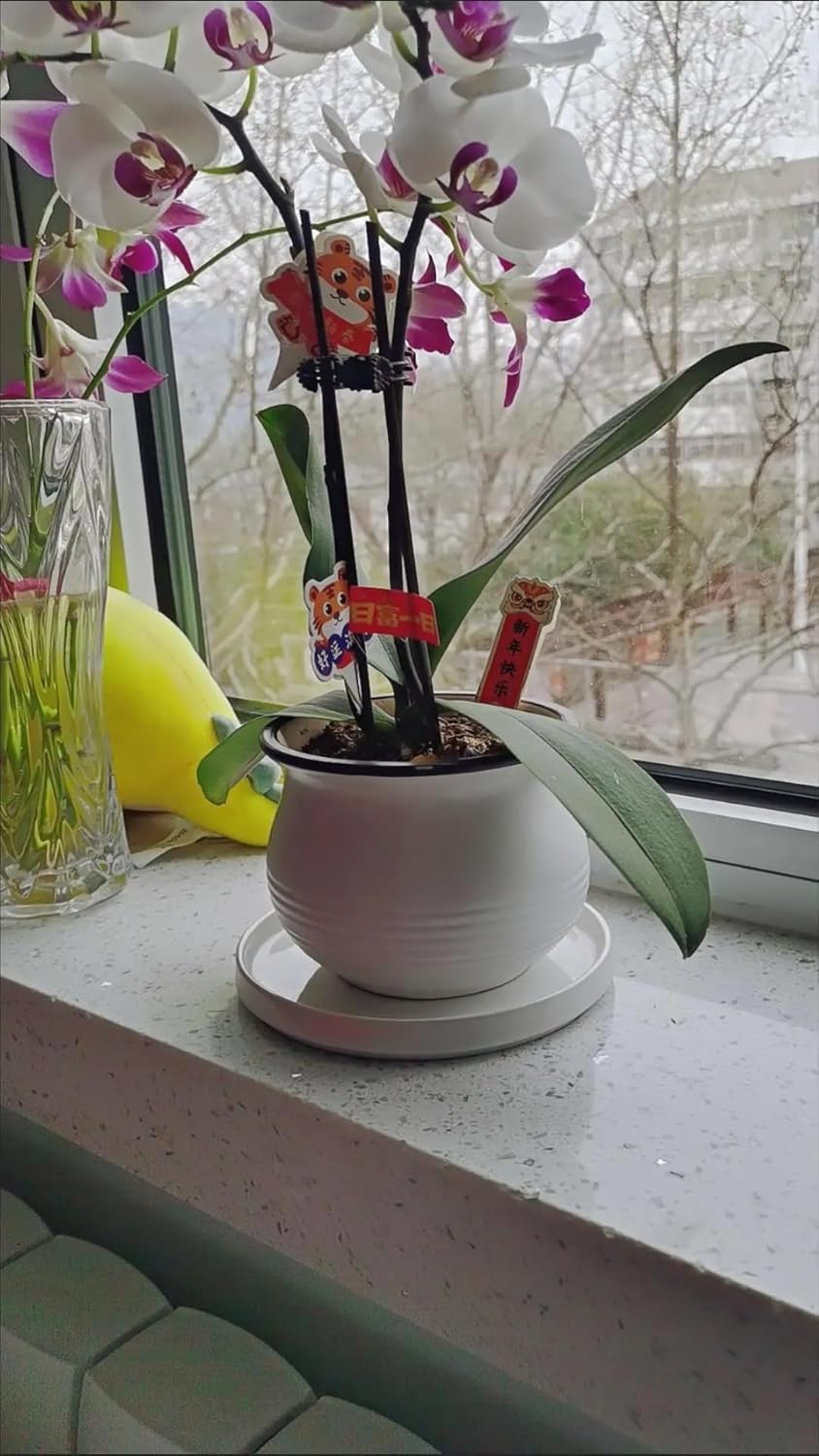 2 Pack Ceramic Plant Saucer Pot Tray 6 Inch, Planter Saucers 4 5 6 7 8 9 10 11 12 13 Inch for Indoors Outdoor, Durable Sturdy Flower Drainage drip Water Tray for Glazed Pots Base (6.4 Inch-White)