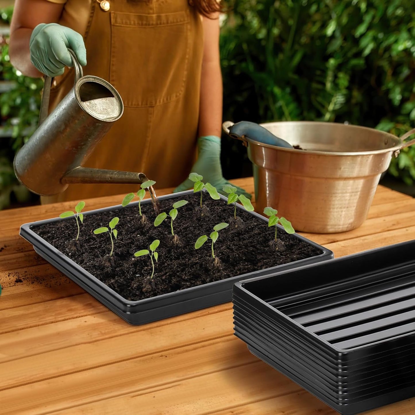 10 Pack Plastic Growing Trays, 10.6"x10.6" Garden Plant Growing Flats, Propagation Seedling Tray Without Drain Holes, Microgreens Seed Starter Tray for Greenhouse Wheatgrass Germination