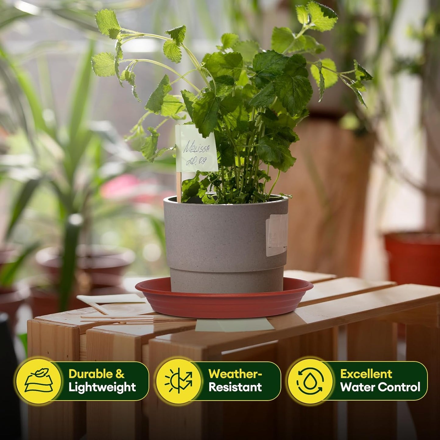 6 Pack Plant Saucer, 8 10 12 inch Plant Saucers for Indoor, Heavy Duty Plastic Plant Trays for pots, Grow Bags, Bird Baths, Flower Drip Trays for Indoor and Outdoor Uses (10", Brown)