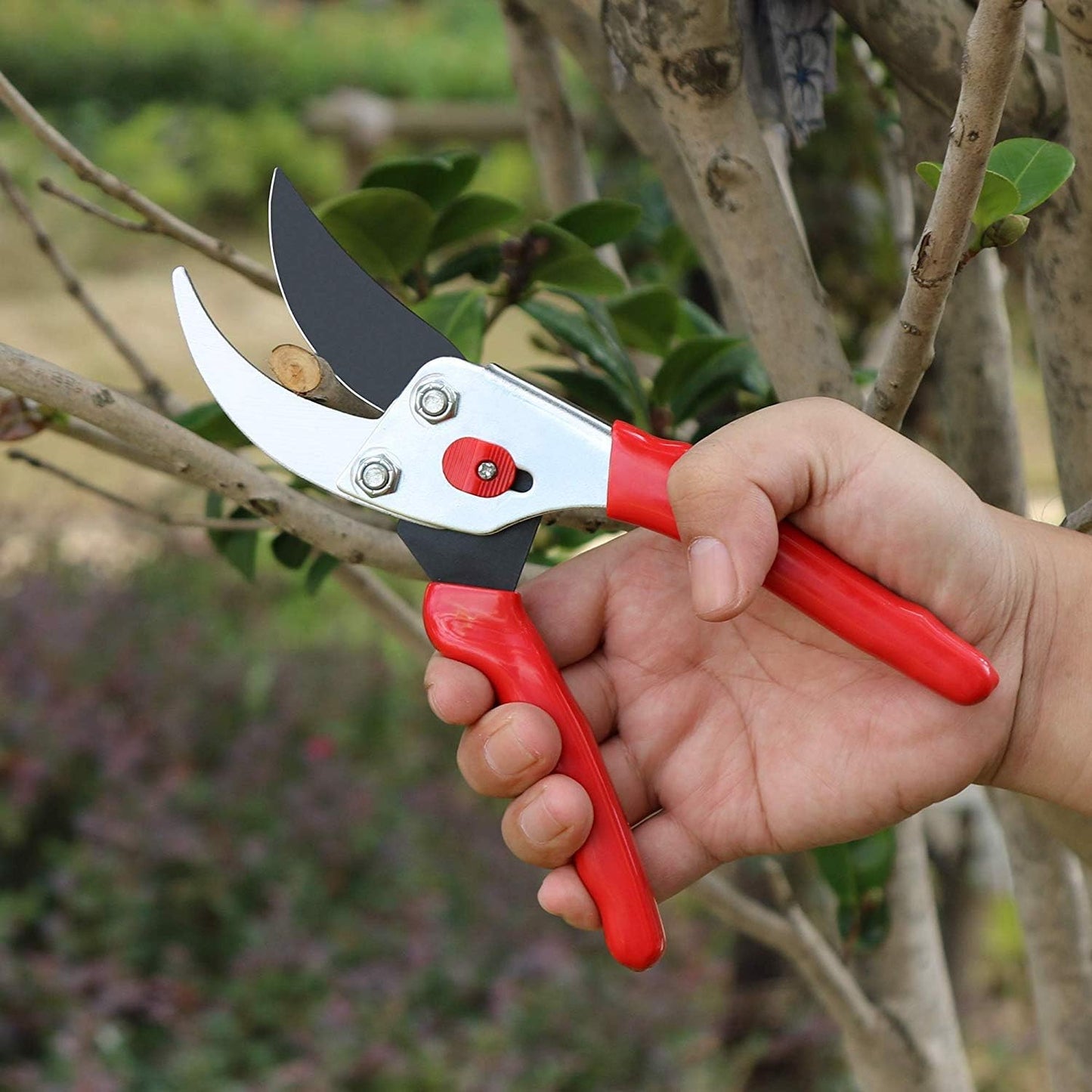 Flora Guard Garden Shears 8.5" Bypass Pruning Shears, Professional Ultra Sharp Sk5 Steel Garden Clippers, Heavy Duty Plant Cutting Scissors Tools Supplies, Hedge Branch Trimmer, Super Durable