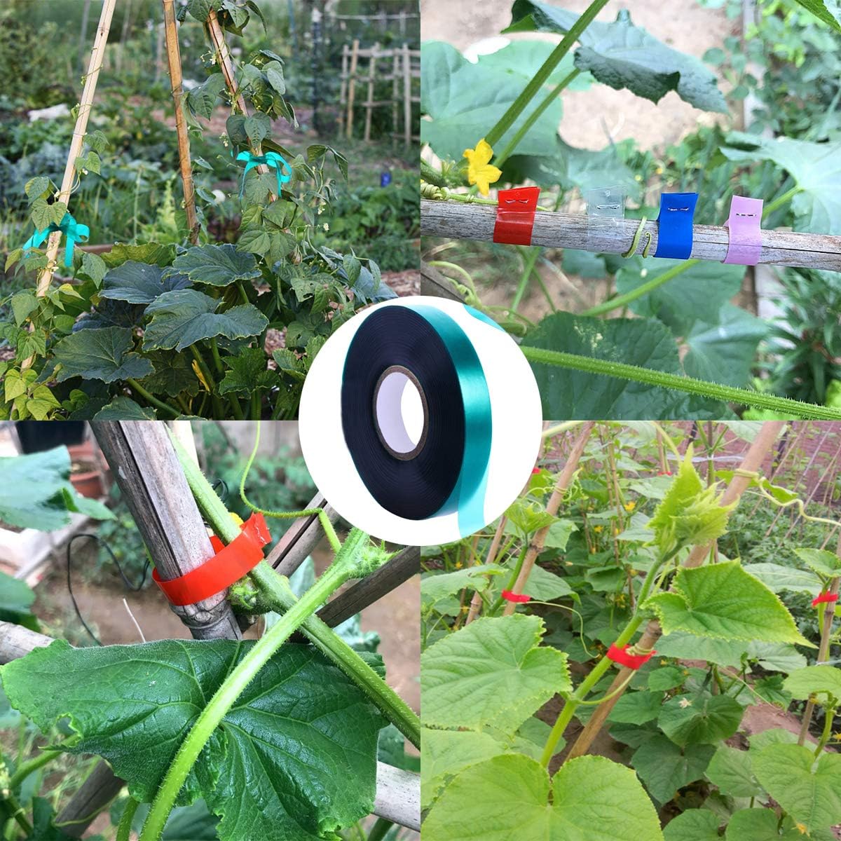6 Rolls 150 Feet Stretch Tie Tape 0.5 Inch Garden Tie Tape Thick Plant Ribbon Garden Green Vinyl Stake for Indoor Outdoor Patio Plant Use