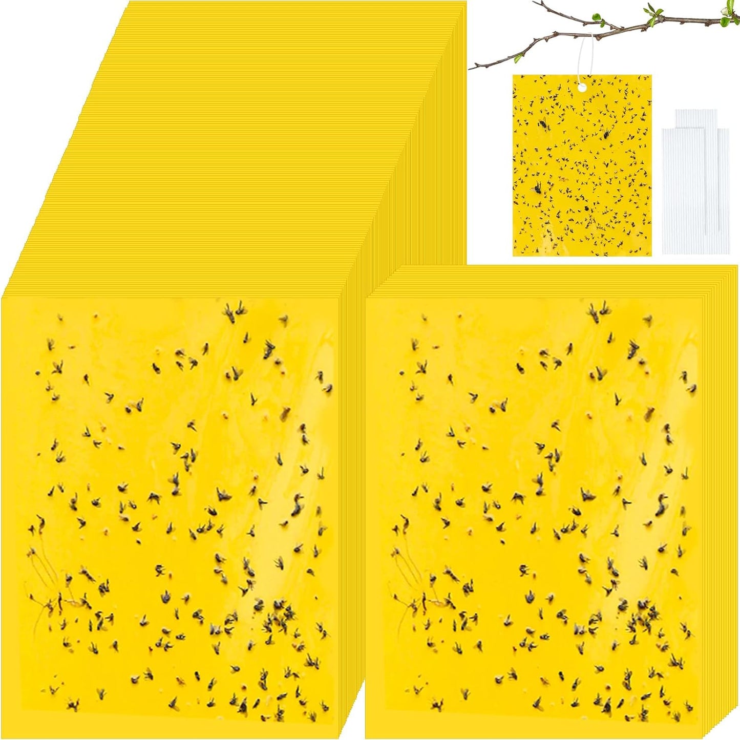 Qualirey 250 Pcs 6 x 8 Inch Sticky Traps for Plant Double Sided Sticky Trap for Gnats with Twist Ties Fly Traps for Fruit Insect Fungus Bugs Indoor Outdoor (Yellow)