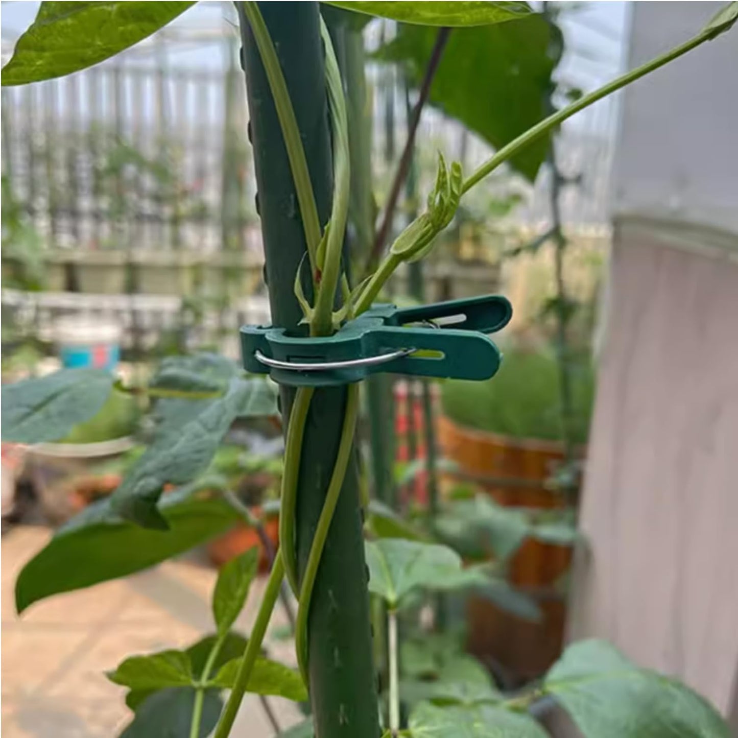 60 Garden Plant Clamps,Plant Support Clamps Hold Plant Stems,for Multi-Purpose Plants Rattan Clamps Rose,Sturdy Cucumber Orchid Clamps Plant Support Adjustable Clamps Green (Small 60Pcs)