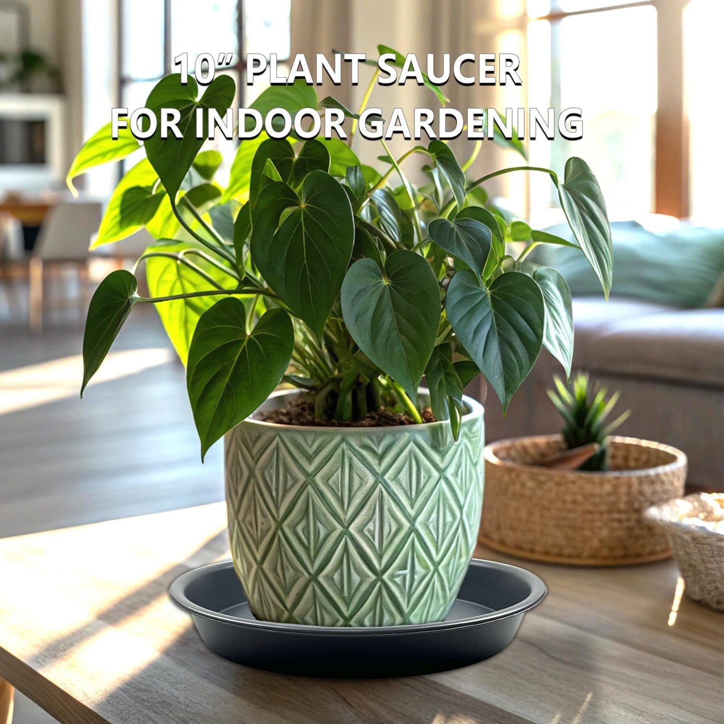 6 Pack 10-Inch Gray Plant Saucer Trays, Heavy Duty Plastic PP Pot Bases for Medium & Large Flower Pots, Durable Water Catcher Plates & Drip Trays for Indoor Outdoor Gardening Use