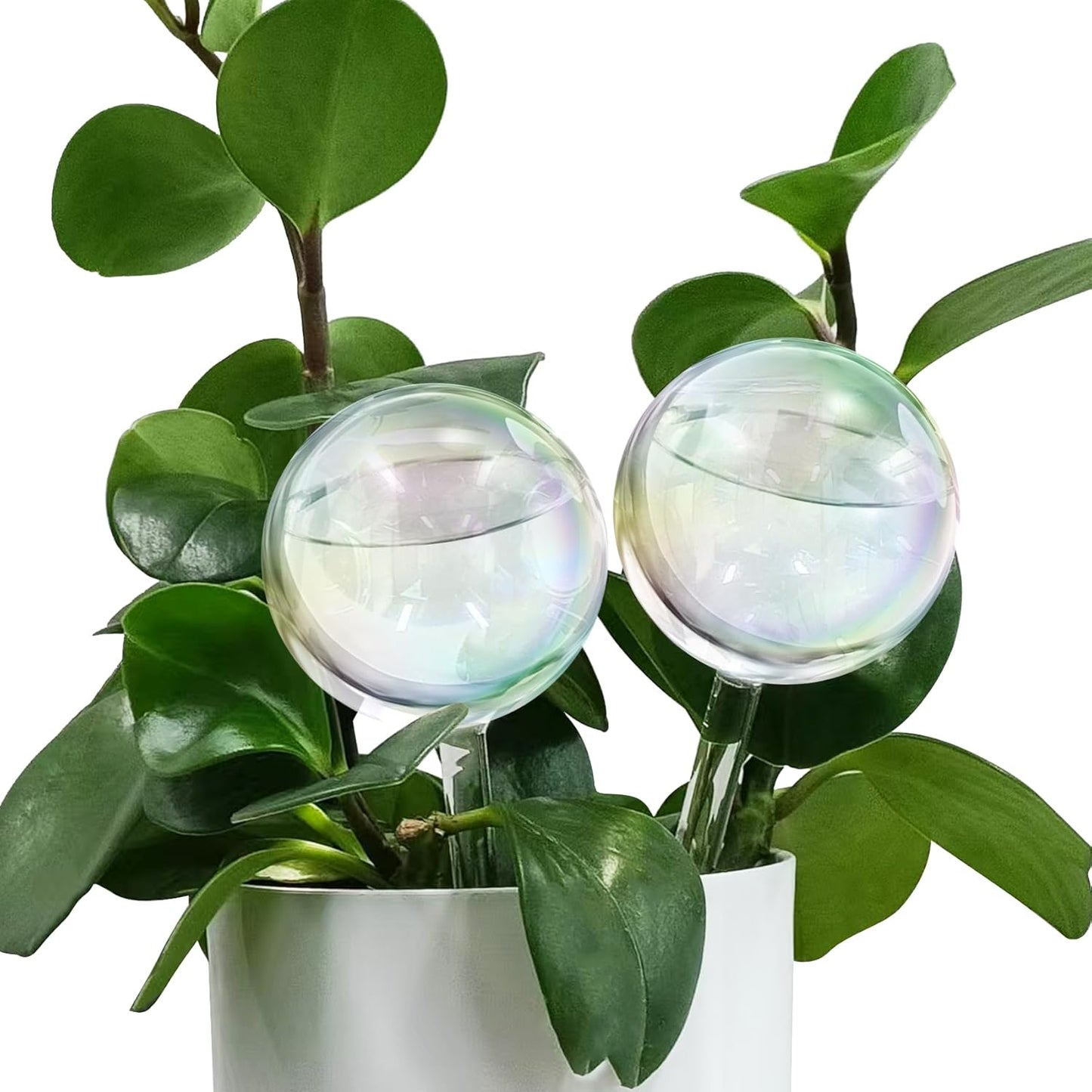 2 Pcs Glass Self Watering Globes, Iridescent Automatic Plant Waterer Bulbs Devices for Indoor & Outdoor Plants, Slow Release Watering Devices System for Various Plants (2pcs)