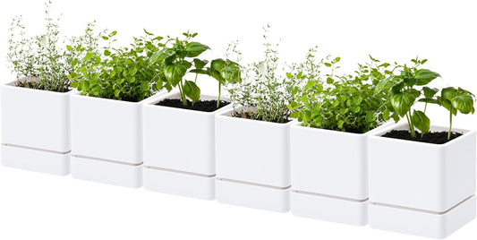 4 Inch Herb Planter Pot, Plastic Planter with Drainage Holes and Saucer, Modern Decorative Gardening Pot for Indoor Plants, Flowers, Herbs, Succulents, White, Set of 6, 76-Y-A-6