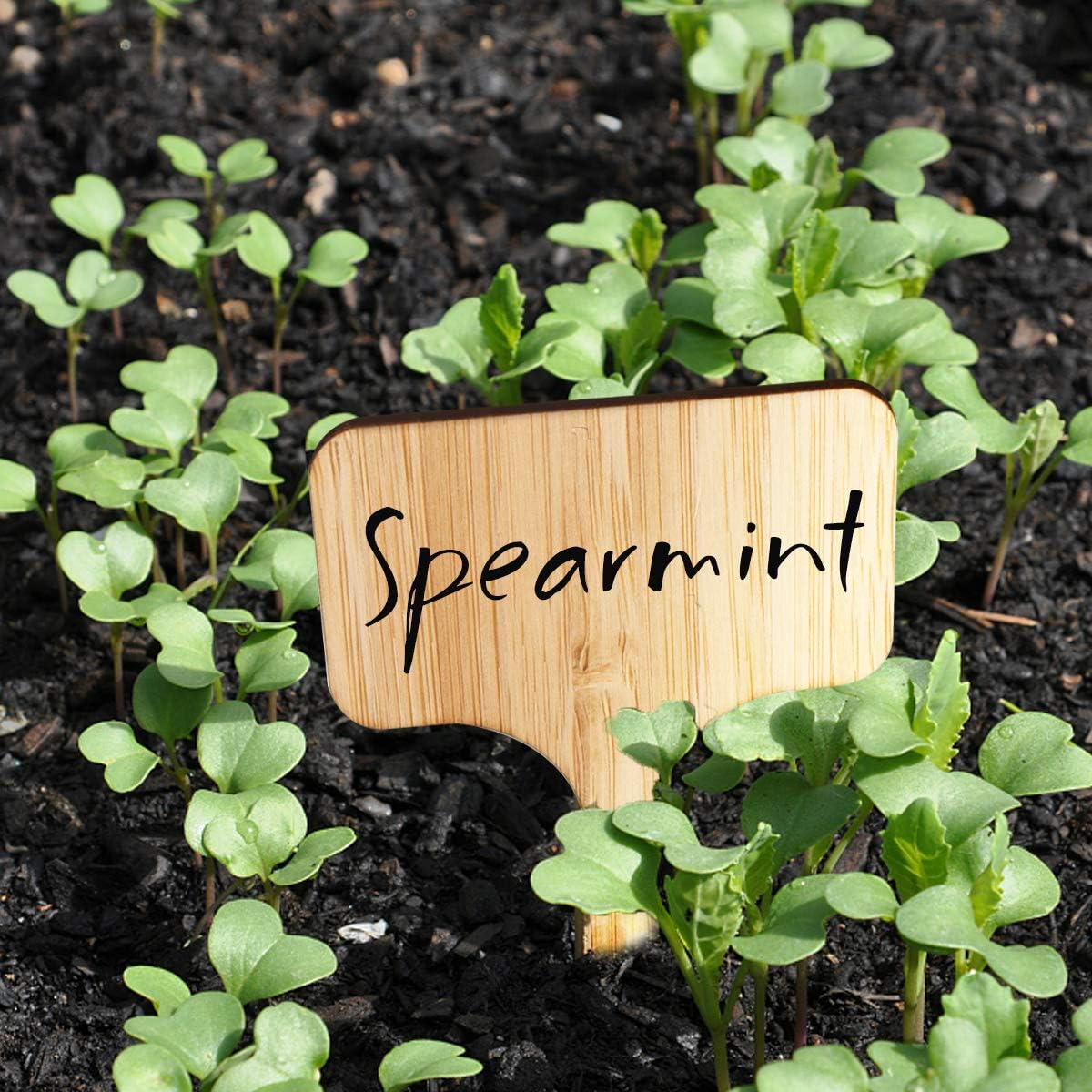 Homenote Bamboo Plant Labels 100Pcs Plant Tags for Seedling T-Type Tags for Plants Outdoor Garden Markers Vegetable Seedling(2.36 * 4“)