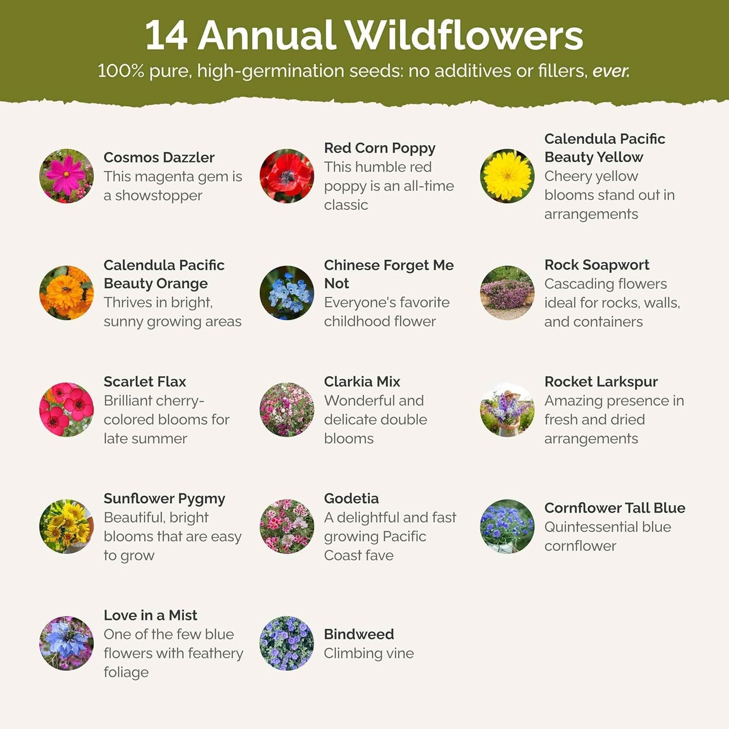 Eden Brothers Fairytale Flower Mixed Seeds for Planting, 1/4 lb, 120,000+ Seeds with Calendula, Cosmos Dazzler, Cornflower, Attracts Pollinators, Plant in Spring or Fall, Zones 3, 4, 5, 6, 7, 8, 9, 10