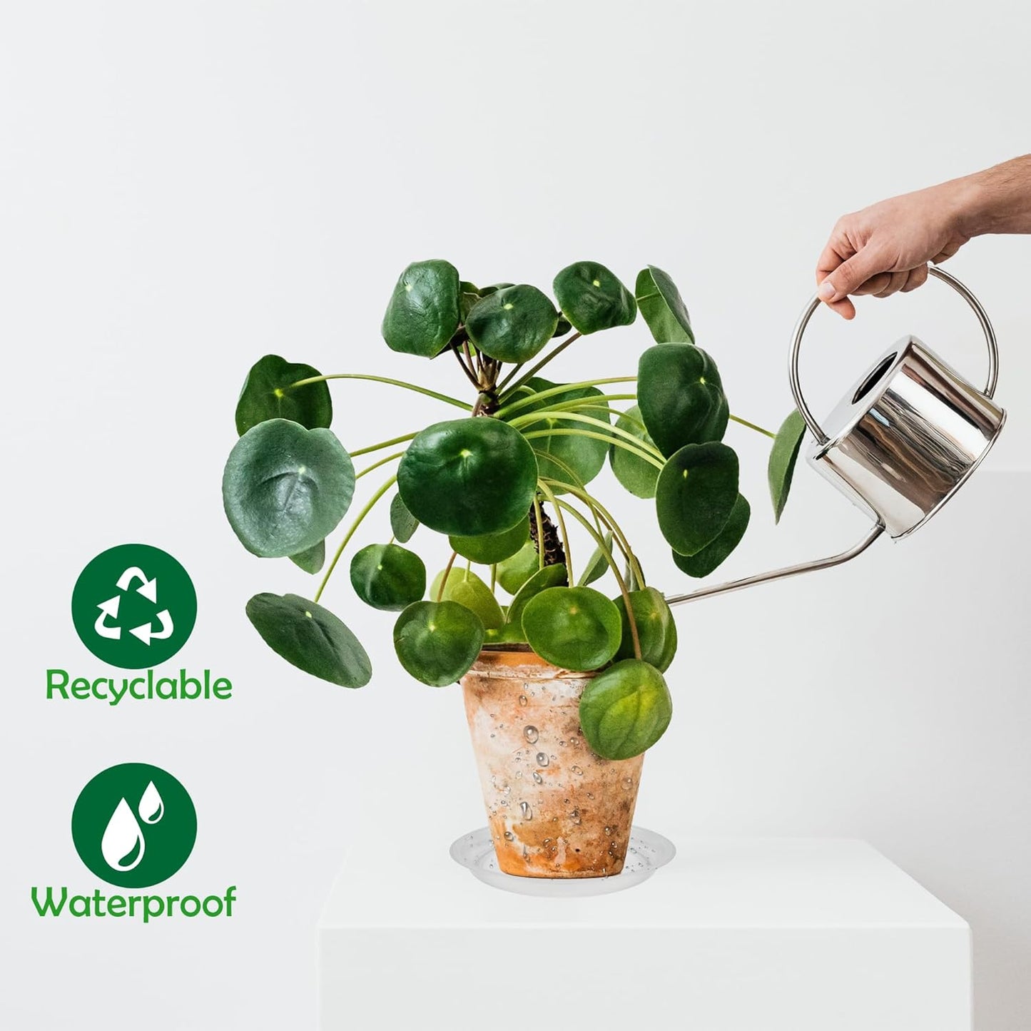 12 Pack 8 Inch Round Plant Saucers for Less 6.8 Inch Pot Indoors Outdoors Plant Trays for Pots Planter Saucer Plastic Plant Drip Tray Planter Water Tray for Potted Plants (Clear, 8"(12pcs))