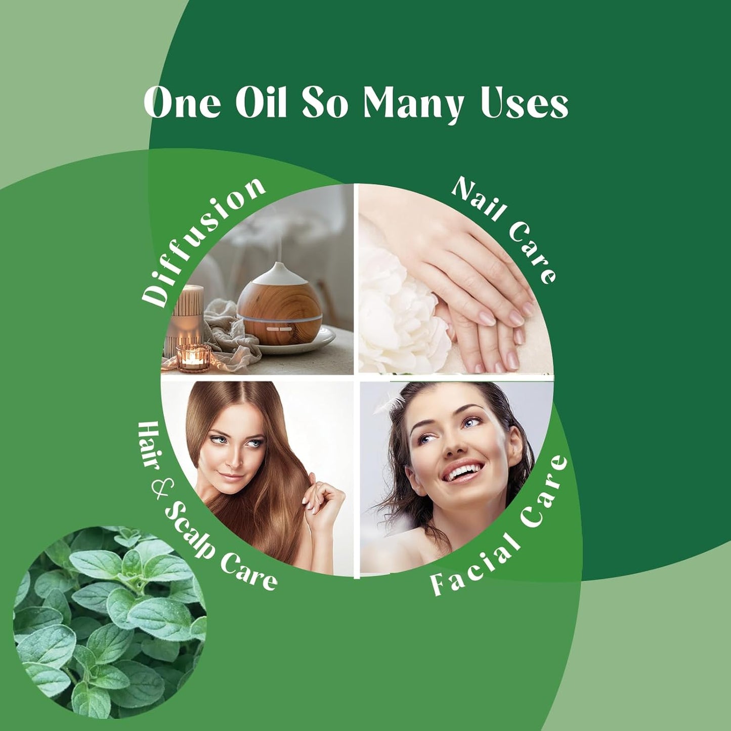 Oregano Essential Oil 100% Pure & Natural – Undiluted for Aromatherapy, Skin Care, and Household - 1 Oz