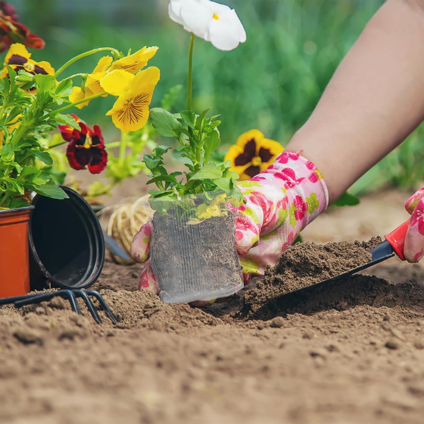 12 Pcs Root Guard Gopher Baskets,Plant Wire Baskets Stainless Steel Plant Wire Speed Mesh Vole Gopher Proof Animal Cages for Root Vegetables Protection(1, 3, 5 Gallon)