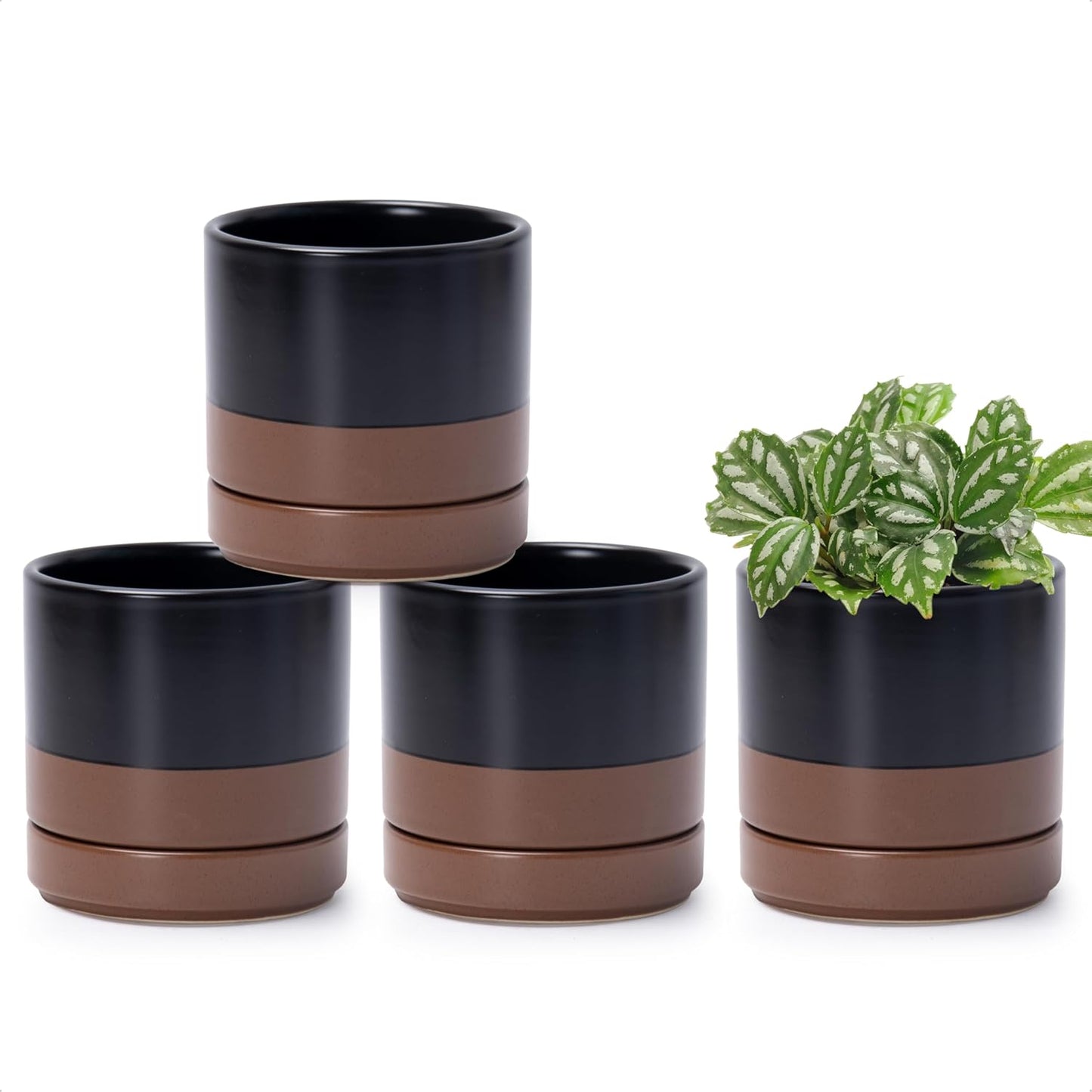 D'vine Dev Set of 4 Small Ceramic Plant Pots, 4.7 Inch Succulent Planter Pot for Plants with Drainage Hole and Saucer, Black/Speckled Tan, 94-X-B-7