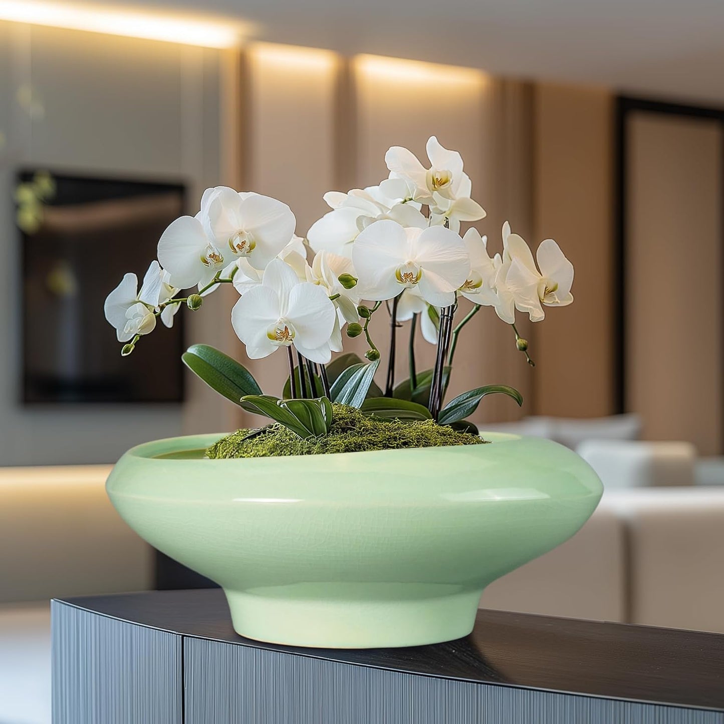 Ceramic Bonsai Pots - Large Succulent Planter 13 Inch Plant Pot Indoor Succulent Pot with Drainage Hole Outdoor Planter Bonsai Tree Pot for House Home Garden Office Decor Green