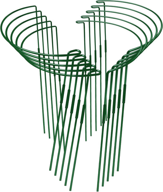 10-Pack Adjustable Height Snake Plant Support Stakes- Sturdy, Rust-Resistant Plant Supports for Indoor and Outdoor Potted Plants (16x10Inch) - Flower and Garden Peony Support