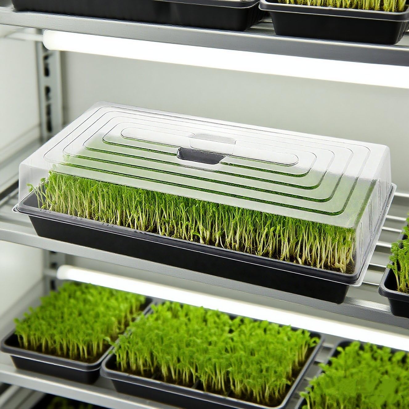 5-Pack 1020 Seed Trays with Humidity Domes - Reusable Heavy Duty Plant Propagation Trays, 3.6" 1020 Clear Greenhouse Covers & Handle for Seedlings, Cloning, Microgreens (No Holes Design)