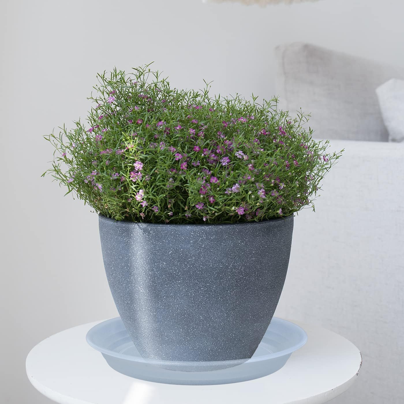 6 Pack Clear Plant Saucer Drip Tray 7 8 inch, Plastic Flower Planter Saucers and Drip Trays for Indoors Outdoors, Heavy Durable Plant Plate Water Catcher, Plant Water Drip Trays for Pots (8", Clear)