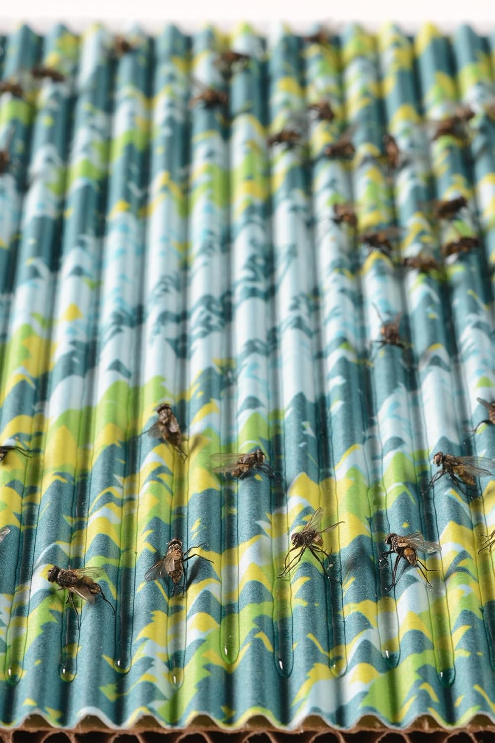 RESCUE! FlyPad – Sticky Fly Traps for Indoor & Outdoor Use - 2 Pack (4 Traps)