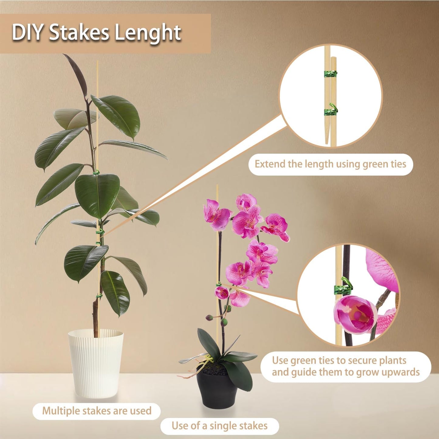 50PCS Bamboo Plant Stakes, 18Inch Natural Bamboo Sticks Garden Stake, HAINANSTRY Plant Support Stakes for Indoor and Outdoor Plants, Stakes for Gardening, Orchid Tomato Vegetable Stakes for Garden