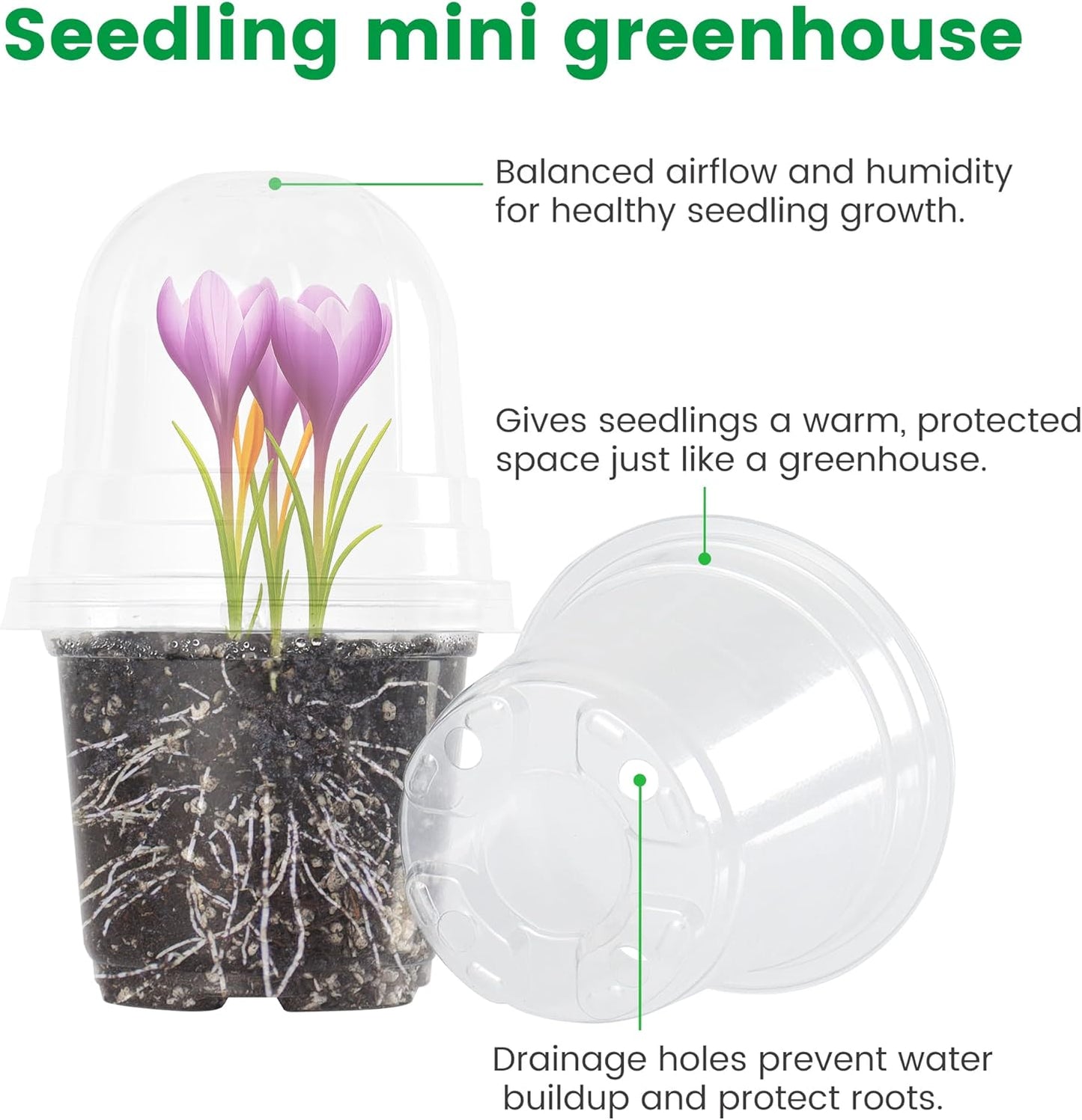 36 Packs 5/4/3.5 Inch Clear Nursery Pots with Humidity Domes, Transparent Plant Pots with Drainage Holes, Variety Pack Seed Starting Pots for Succulents, Flowers and Cactus