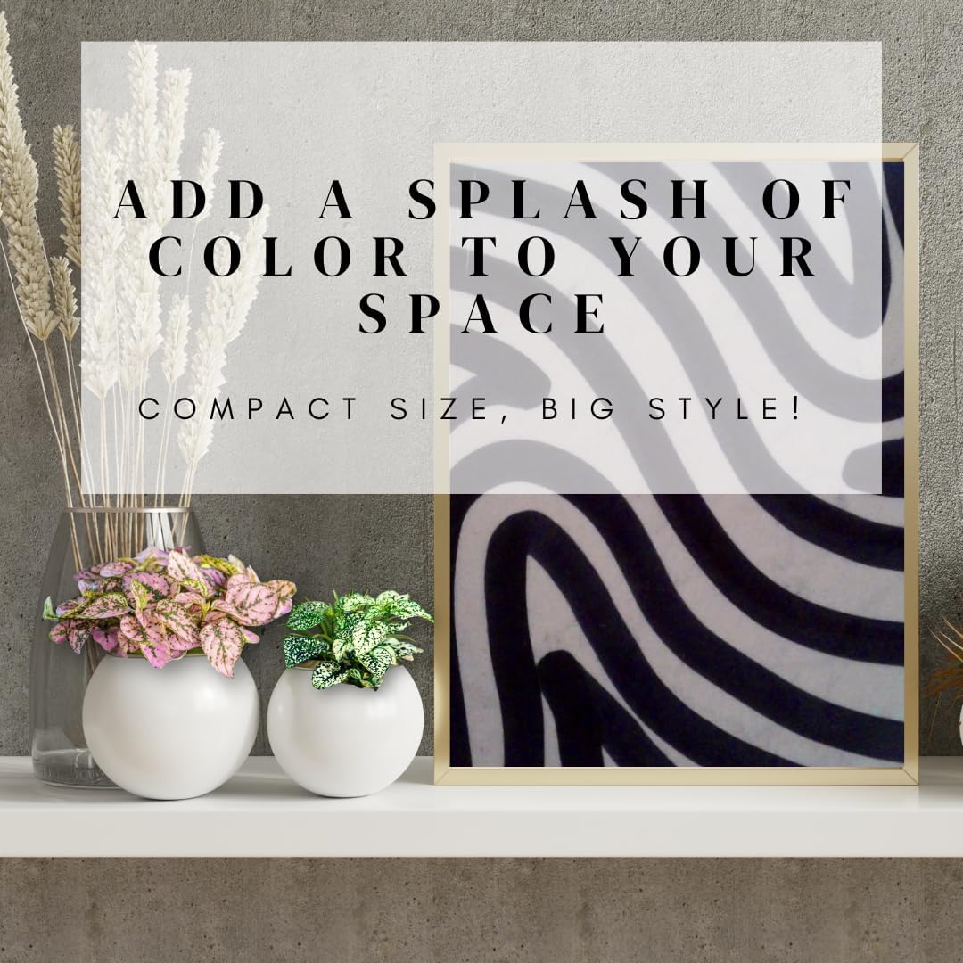 Polka Dot Plant (4-Pack) - Live Houseplants, Small Indoor Plants, Hypoestes Red - Colorful, Air-Purifying House Plants