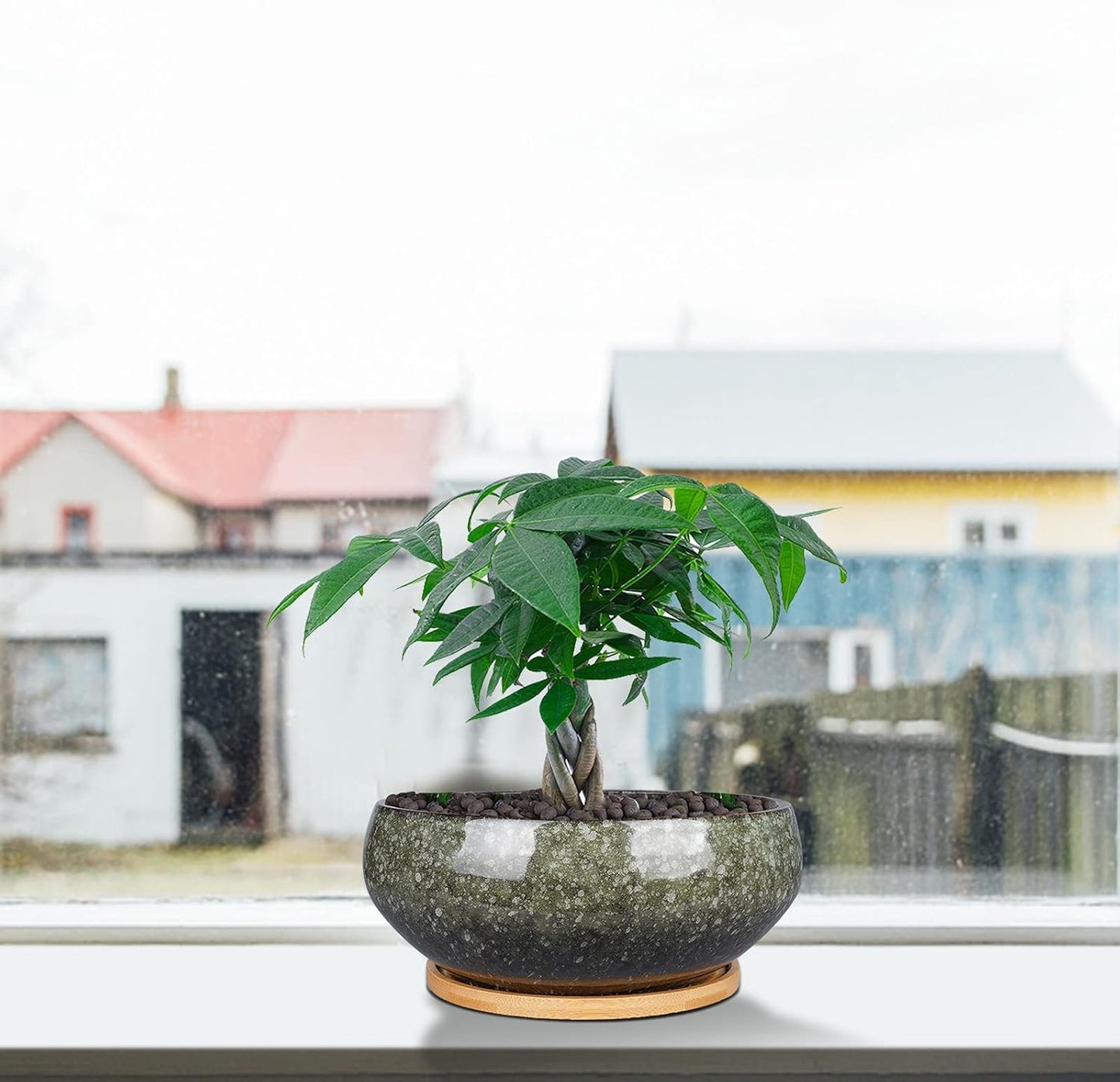 8 Inch Ceramic Bonsai Planter Pot, Glazed Shallow Succulent Planter with Drainage Hole and Bamboo Saucer for Indoor Plants, Brown