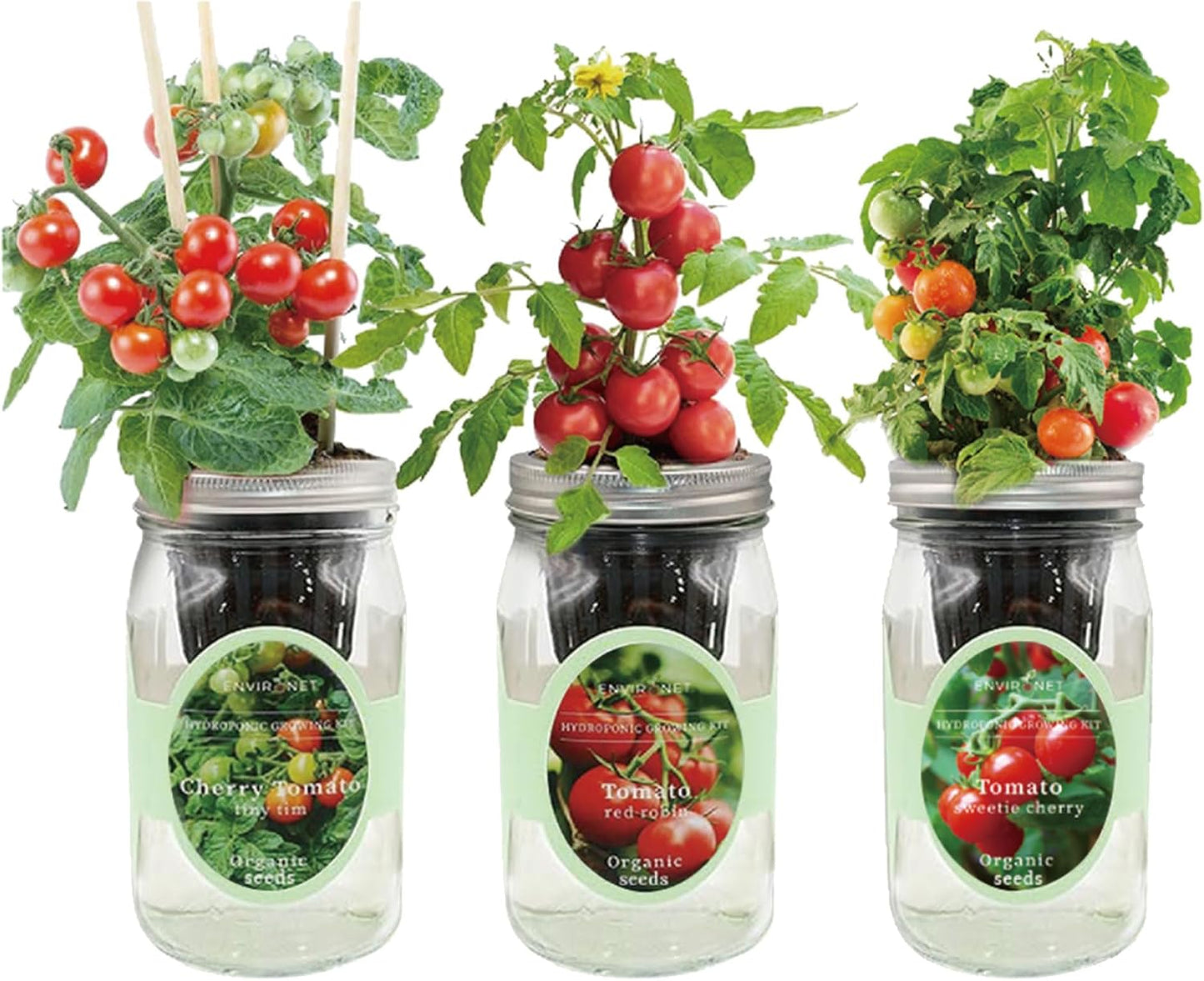 Hydroponic Mason Jar Indoor Garden Organic Seed Starter Kits - Tomato Trio Garden Growing Kits, Gardening Gift (Red Robin Tomato, Cherry Tomato - Tiny Tim, Sweetie Cherry Tomato)