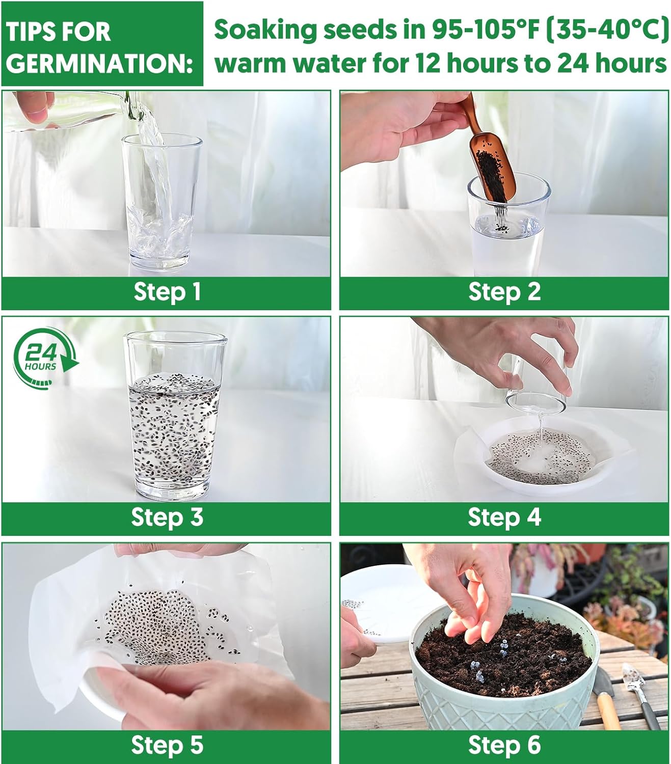 20,000+ Lettuce Seeds, Heirloom Vegetable Seed for Planting Indoor Outdoor, 10 Varieties Fresh Lettuce Salad Seeds Garden Hydroponics Kit - Romaine, Iceberg, Boston, Bibb and More, Non-GMO