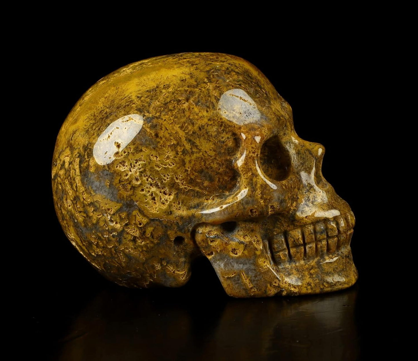 Skullis 2.0” Ocean Jasper Crystal Skull, Hand Carved Gemstone Fine Art Sculpture, Reiki Healing Stone Statue.1410