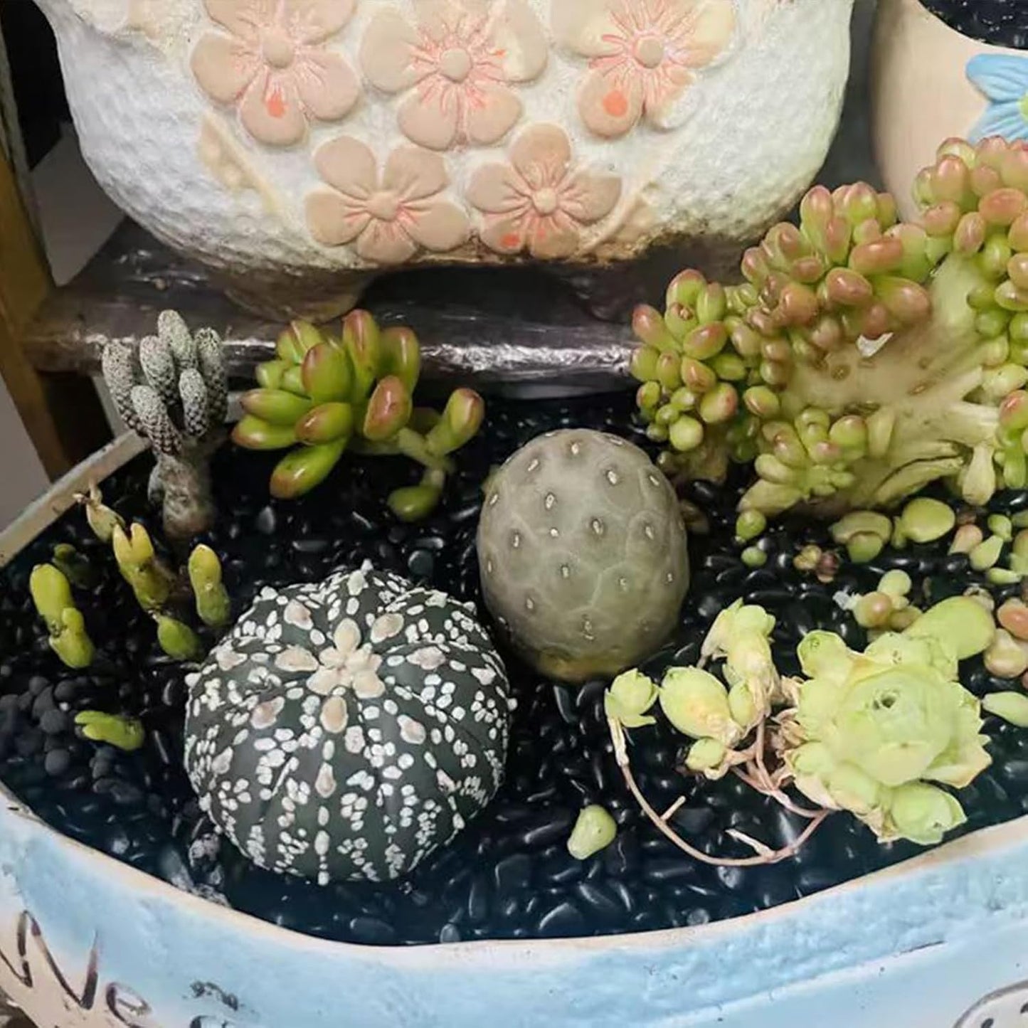 2 lbs Black Pebbles for Indoor Plants, 3/8 inch Decorative Rocks, Black River Rocks for Succulent Potted Plant, Vase, Aquarium, Landscaping and Outdoor Garden Rocks