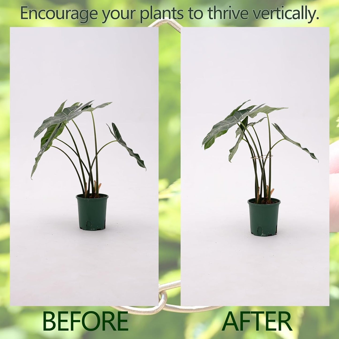 5Pcs Monstera Stem Support for Indoor Plants - 4.13 * 2.95 in- Durable Plant Support Stake Holder & Adjustable Clamp Kit for Monstera and Climbing Plants for Gardening Enthusiasts