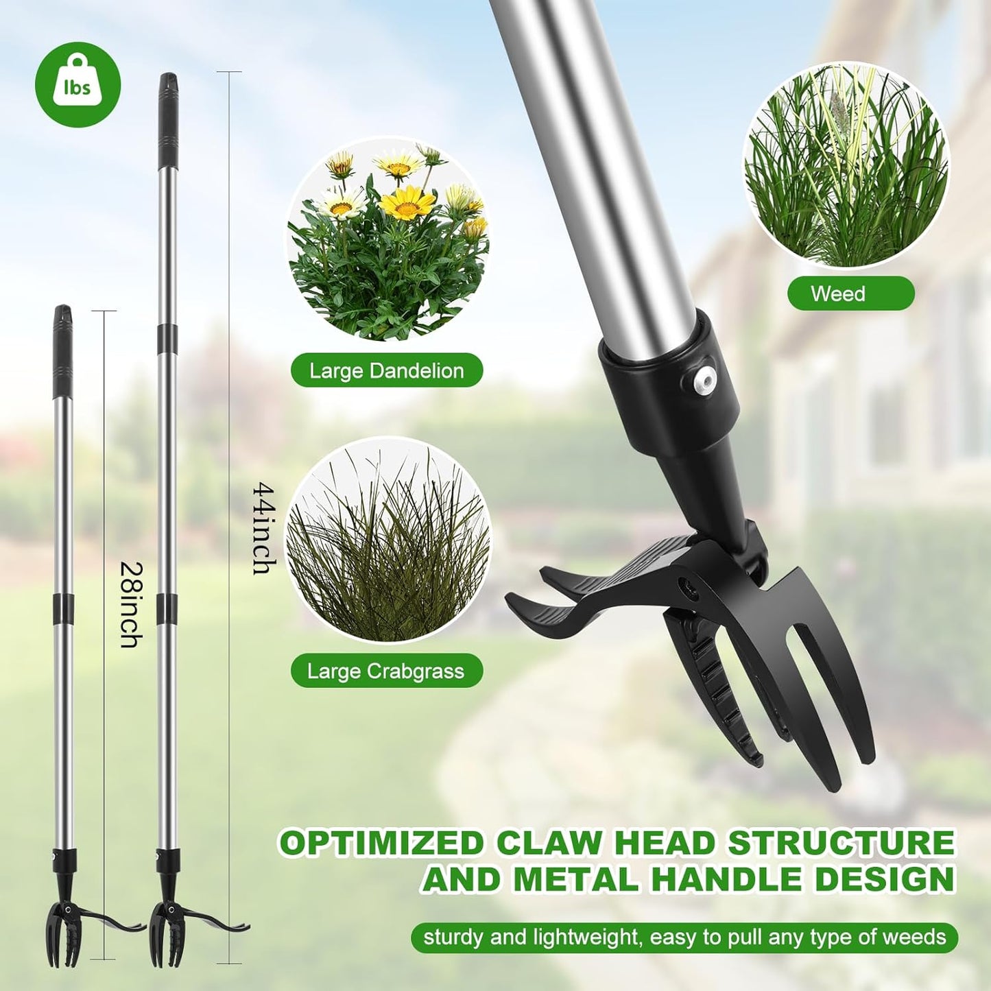 Weed Puller Tool, Lightweight, 4-Claw Stand Up Weeder Tool with Adjustable Handle for Remove Weeds Without Bending or Kneeling, Easily Remove Dandelions, Thistles, Plantain, Crabgrass.