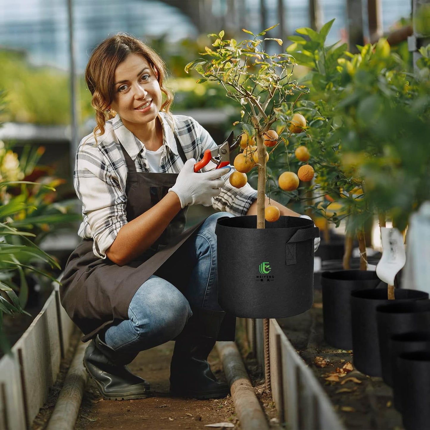 Grow Bags 5 Gallon Thickened Fabric Planting Bag 5-Pack Plant Pots with Handles