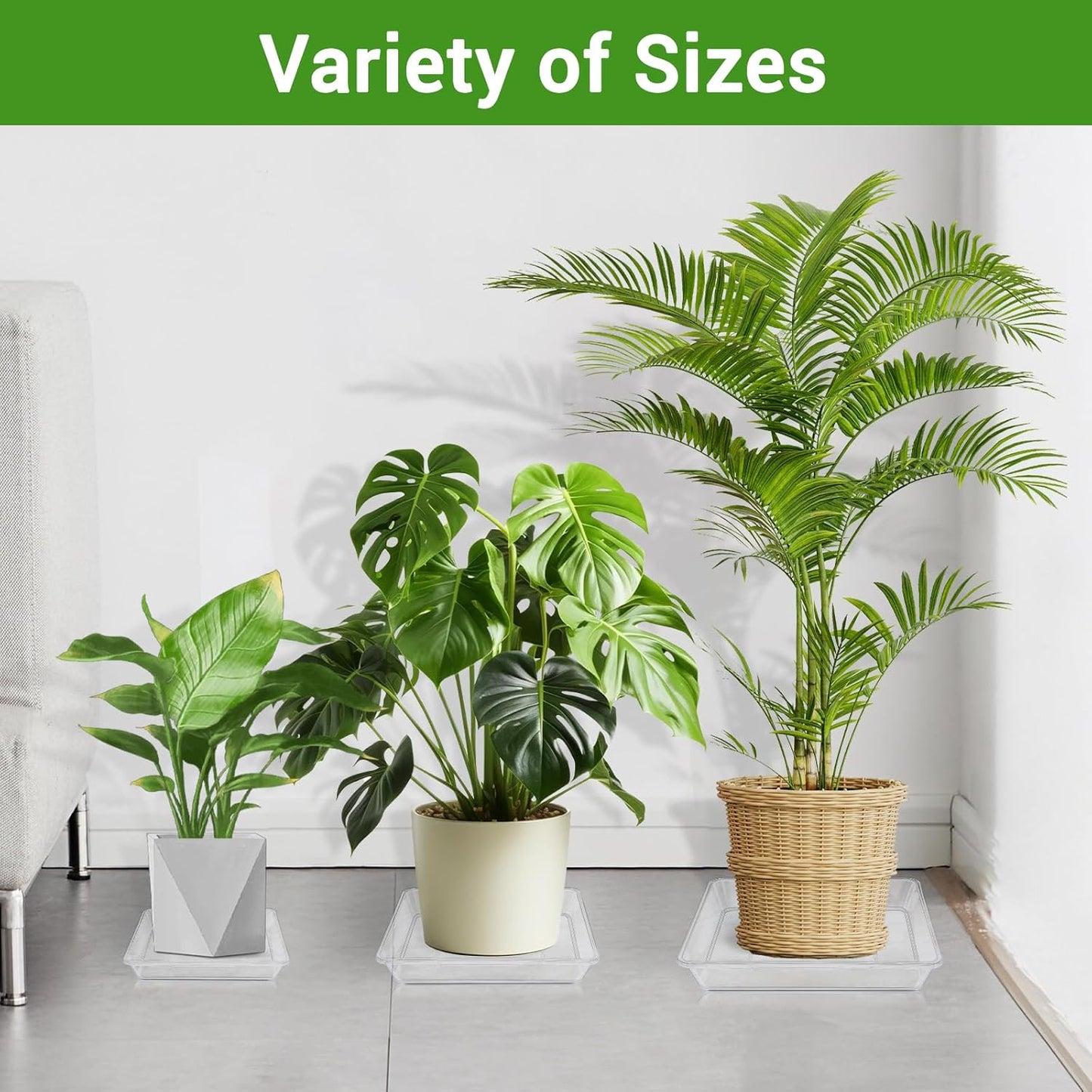 GREANER 6 Packs Square Clear Plant Saucer 6 8 10 Inch, Plastic Flower Plant Pot Saucer, Plant Watering Tray for Planter Pots, Flower Plant Drip Trays for Indoor & Outdoor Plants