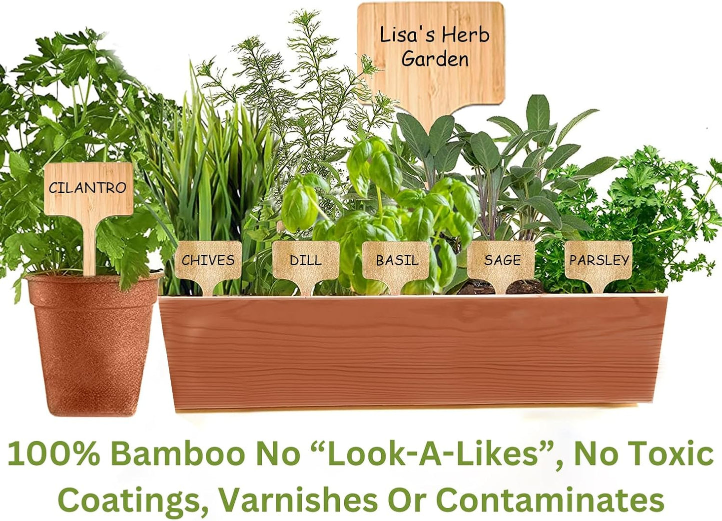 50 Pack 8 Inch Tall Plant Labels Large Garden Markers Plant Name Tags for Flowers, Herbs, Vegatables, Seeds, Bulbs Easy to See Larger Writing Area with Full Size Marker