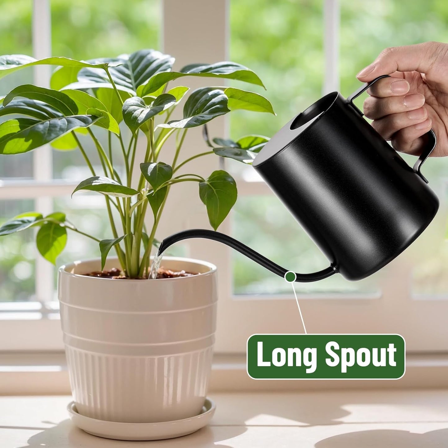 20oz/600ml Watering Can Indoor Plants, Stainless Steel Plant Watering Can with Long Spout (Black)