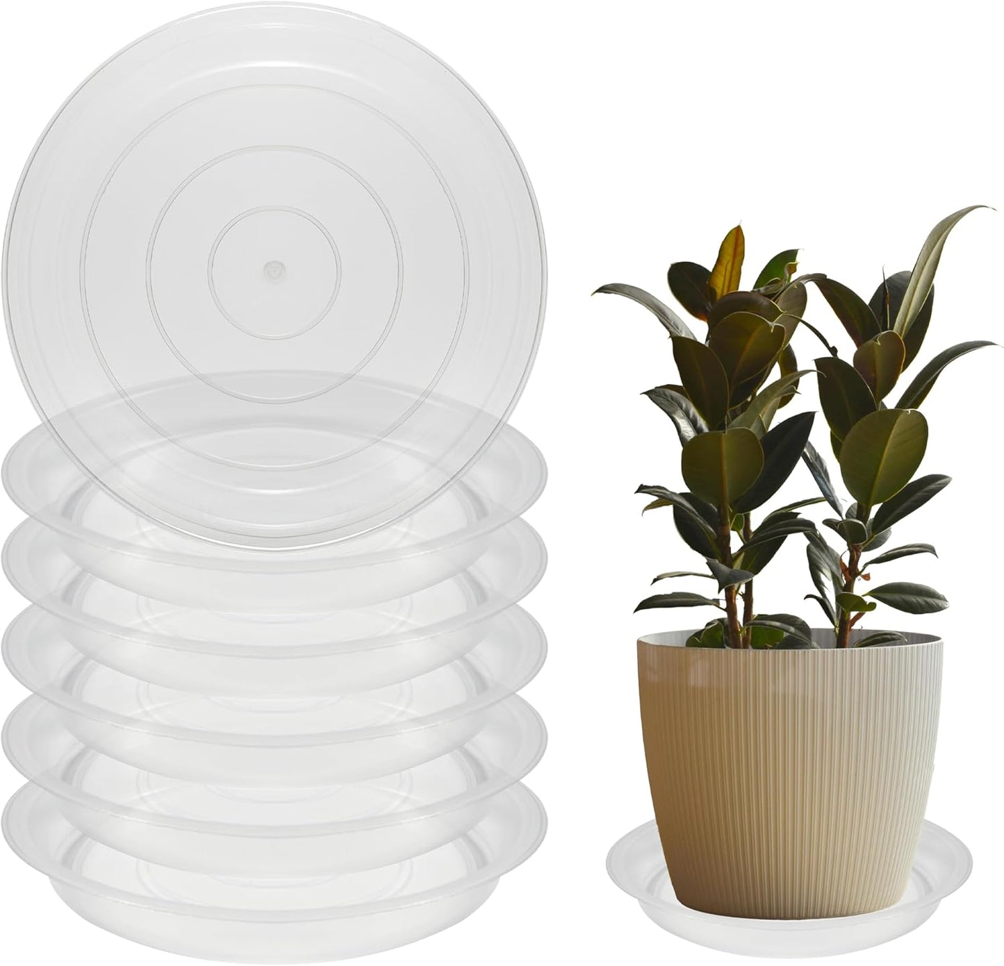 6 Pack 6 Inch Round Plant Saucers for Less 5 Inch Pot Indoors Outdoors Plant Trays for Pots Planter Saucer Plastic Plant Drip Tray Flower Planter Water Tray for Potted Plant(Clear, 6"(6pcs))