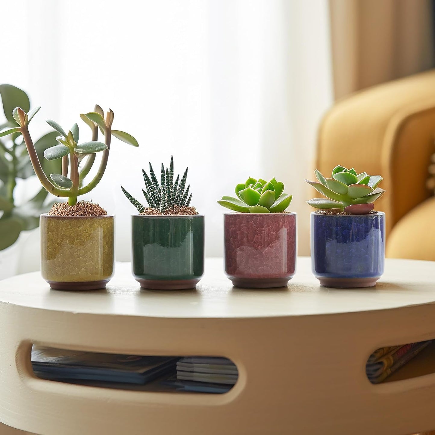 T4U 2.5 Inch Small Ceramic Succulent Planter Pot with Drainage Hole Set of 12, Ice Crack Glaze Plant Container for Cactus, Plant Lover Gifts for Women Mom Coworker Home Office Decor