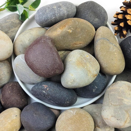 20lbs Natural River Rocks, 2"-3" Premium Pebbles for Garden and Landscape Design, Hand-Picked Smooth Stones for Fish Tank, Flower Pots, Indoor Water Fountains, Pathways, Backyard