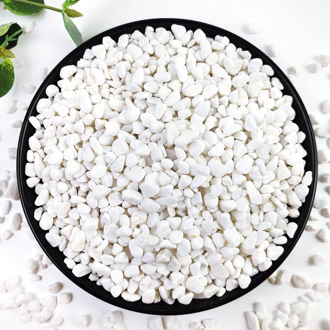 10LB Succulent and Cactus Gravel, 1/5 Inch White Natural Decorative Polished Pebbles for Landscaping, River Rocks for Plants, Vases, Aquariums, Terrarium and Outdoor Gardening