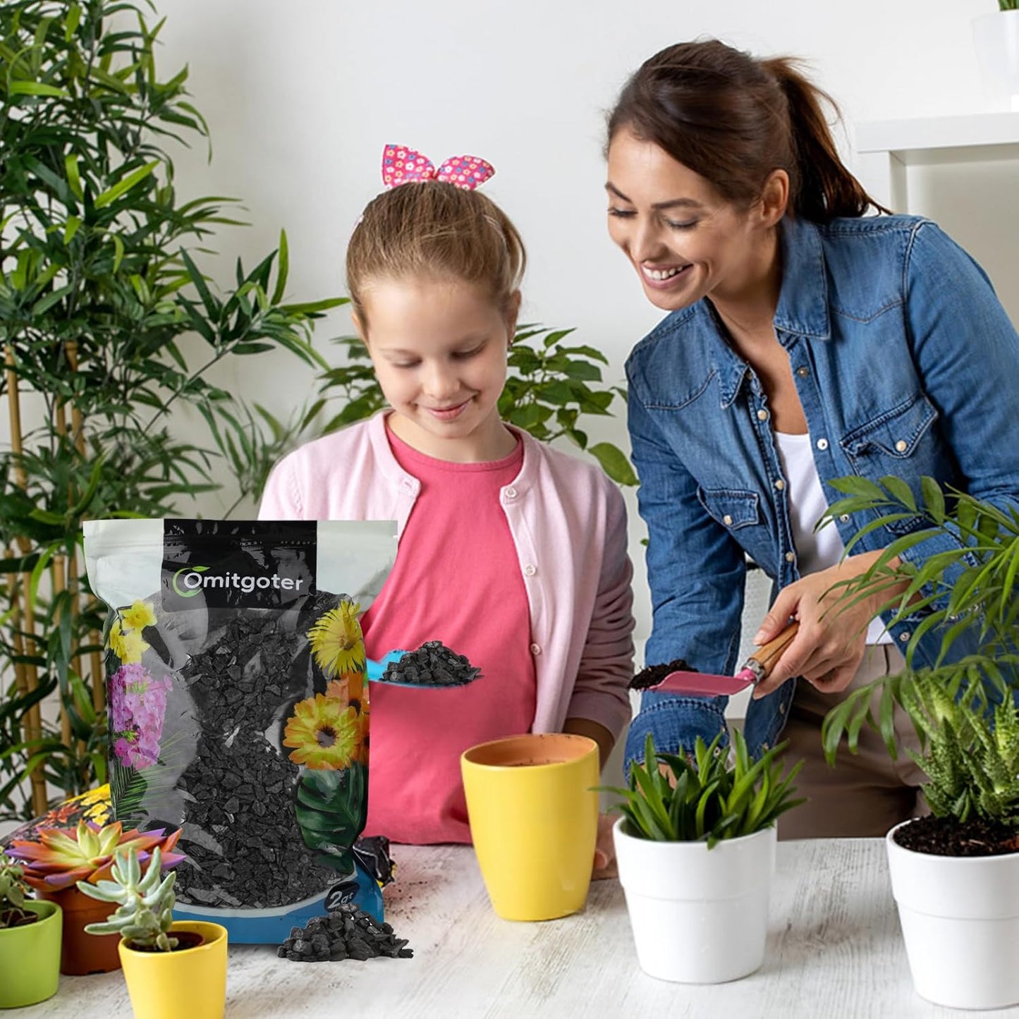 Horticultural Charcoal 1qt for Plants, Actived Charcoal Terrarium Supplies, Suitable for Indoor Plants, Succulent, Orchid, Cactus, Bonsai