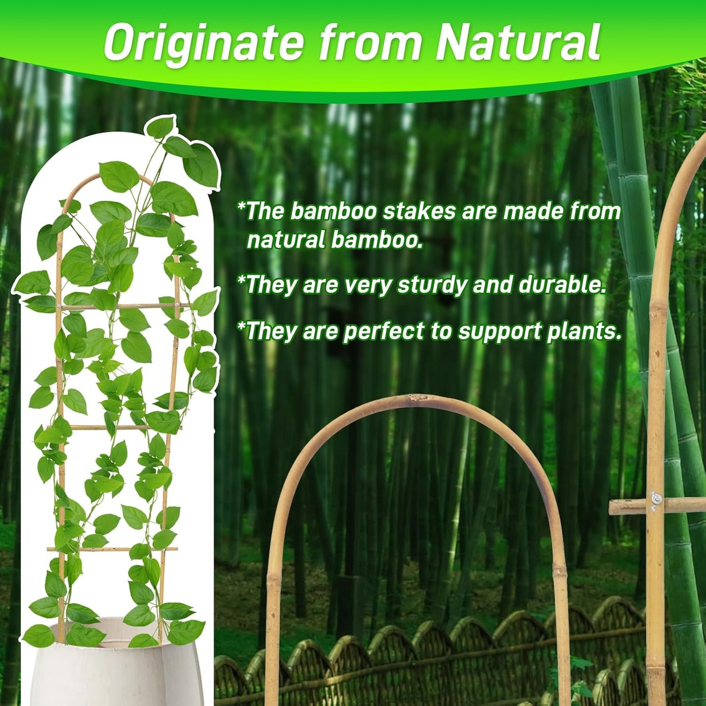 10 Pack 4ft U-Shape Bamboo Trellis for Climbing Plants, Natural Garden Trellis for Tomatoes, Cucumbers, Potted Plants, Vegetables Indoor Outdoor